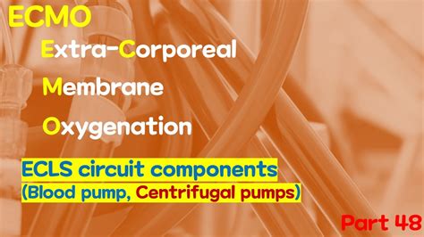 extracorporeal centrifugal blood pump|ecmo blood pumps.